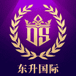 东升国际